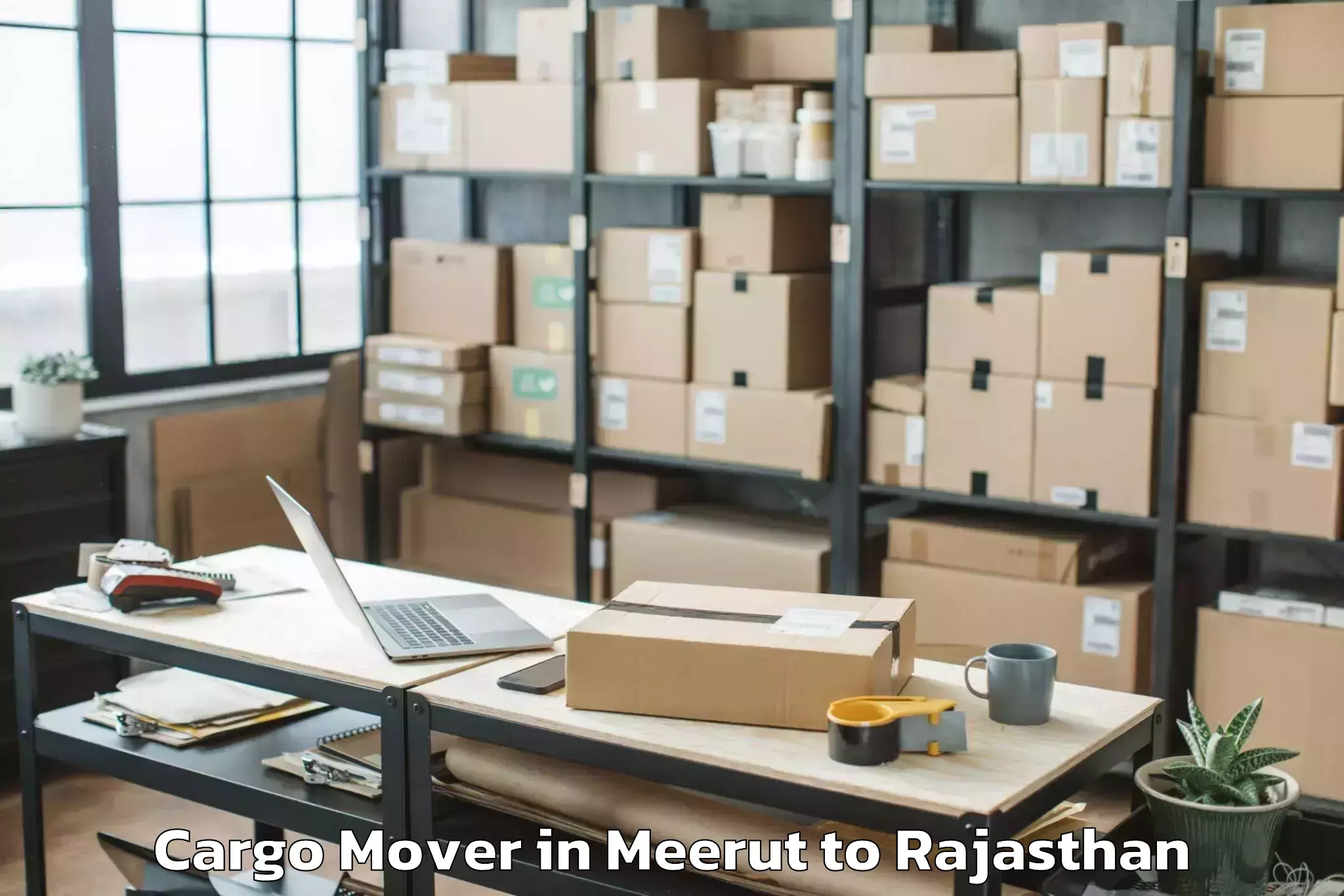 Professional Meerut to Mathania Cargo Mover